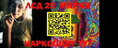 apvp Коммунар