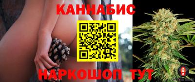 apvp Коммунар
