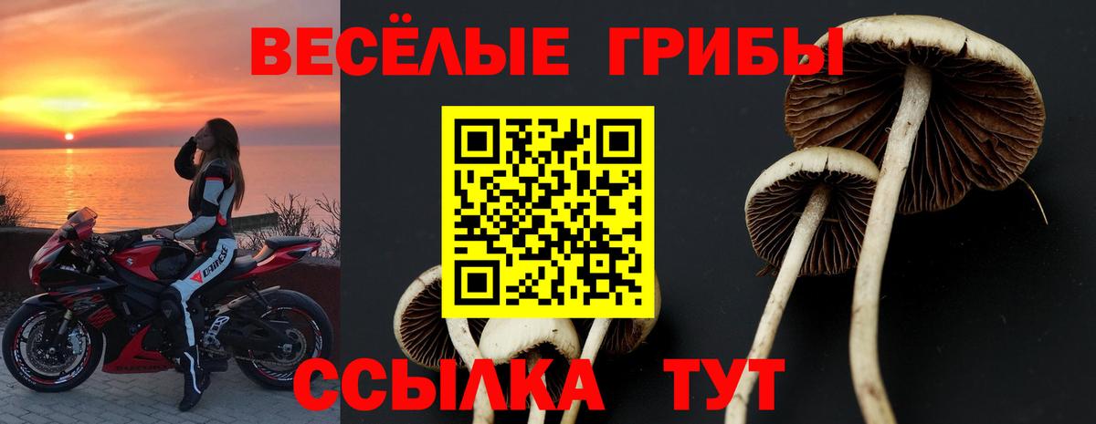 Галлюциногенные грибы GOLDEN TEACHER Кирово-Чепецк